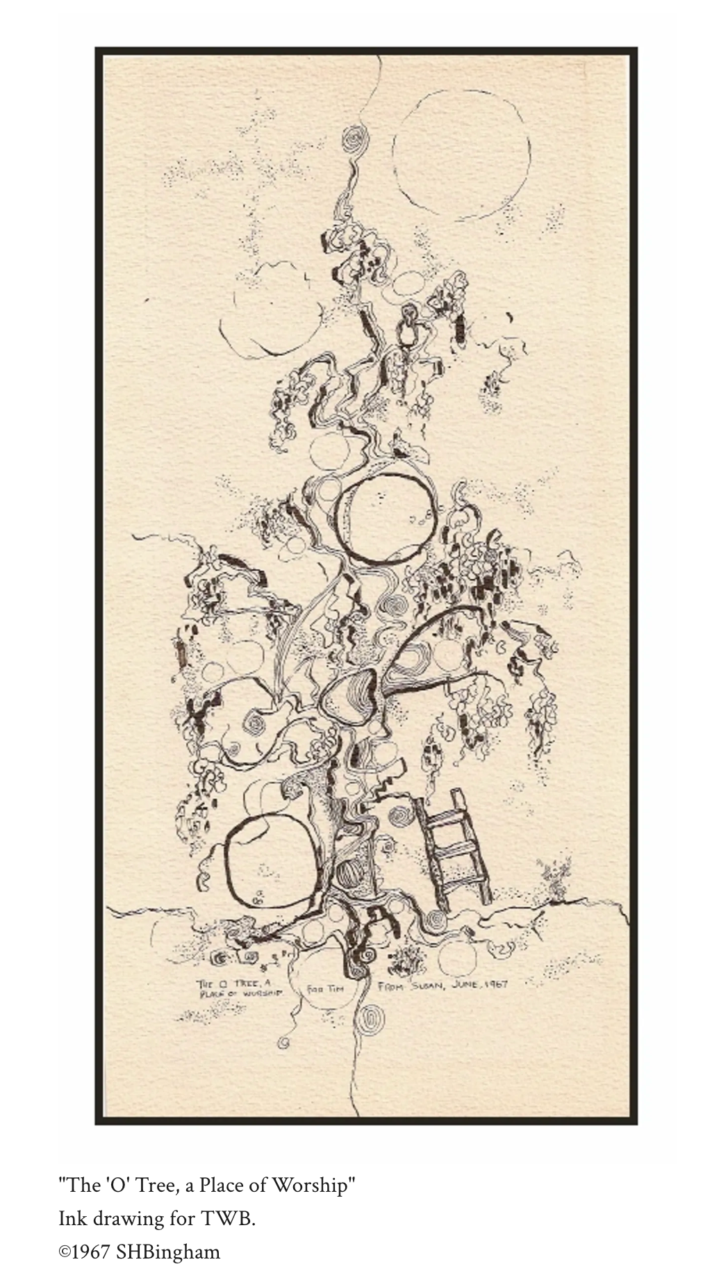 The O Tree, a Place of Worship – ink drawing by Susan Hulsman Bingham